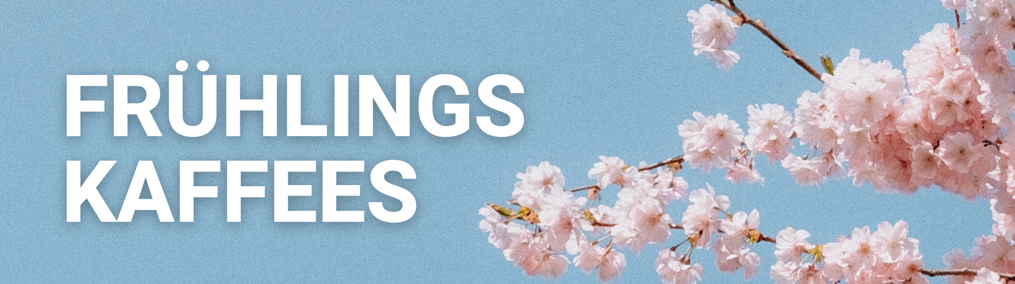 Frühling kaffees